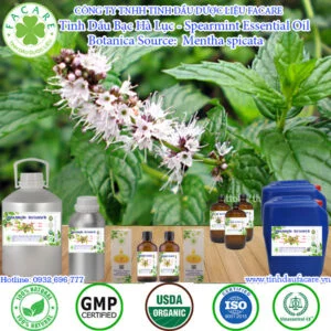 Tinh Dầu Bạc Hà Lục- Spearmint Giá Sỉ