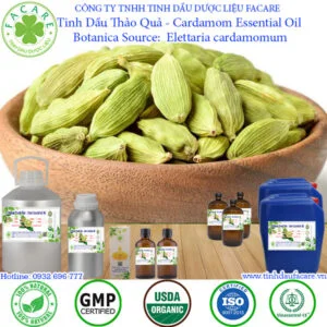 Tinh Dầu Thảo Quả - Bạch Đậu Khấu - Cardamom Giá Sỉ