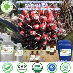 Dầu Cọ - Palm Oil Giá Sỉ