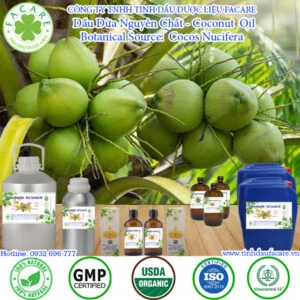 Dầu Dừa Nguyên Chất - Coconut Giá Sỉ