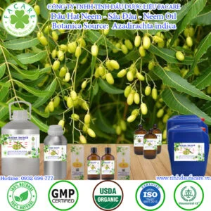 Dầu Hạt Neem - Sầu Đâu - Neem Oil Giá Sỉ