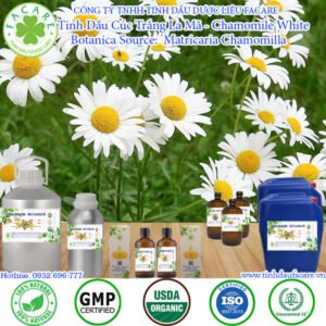 Tinh Dầu Cúc Trắng La Mã - Chamomile White Giá Sỉ