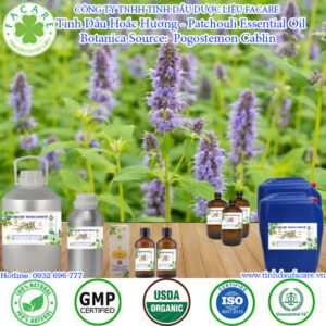 Tinh Dầu Hoắc Hương - Patchouli Giá Sỉ