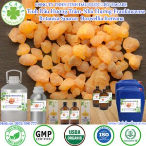 Tinh Dầu Hương Trầm - Nhũ Hương - Frankincense Giá Sỉ