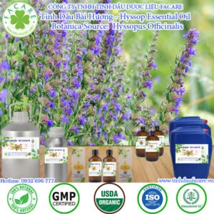 Tinh Dầu Bài Hương - Hyssop Giá Sỉ