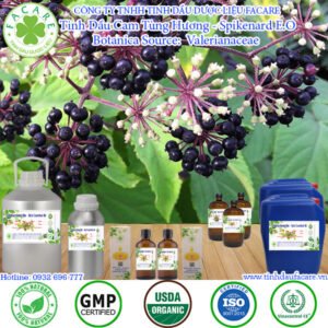 Tinh Dầu Cam Tùng Hương - Spikenard