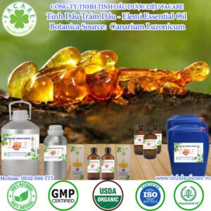 Tinh Dầu Elemi - Trám Dầu Giá Sỉ